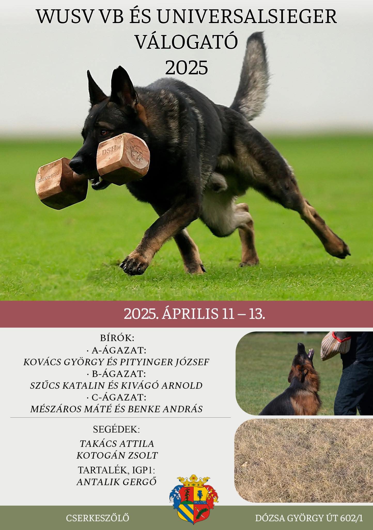 Szeretettel várunk minden kedves érdeklődőt pénteken, szombaton és vasárnap 8-16 óra között a Sportpályán!