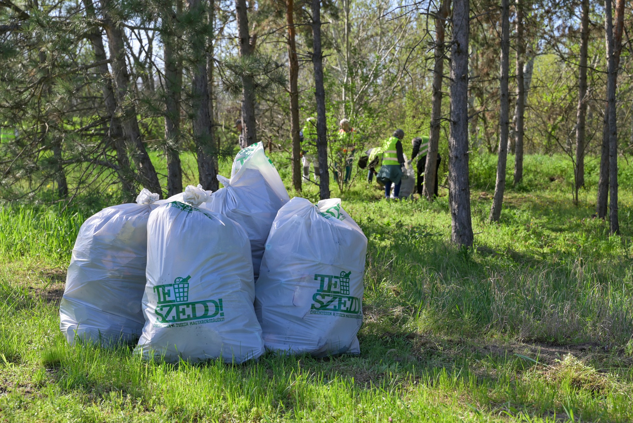 Köszönetnyilvánítás